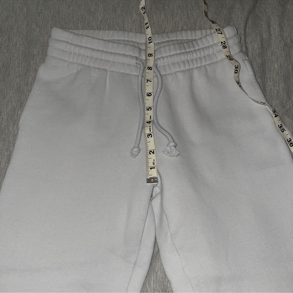 Aritzia Tna Cozy Fleece Sweatsuit (mirror blue) - Picture 16 of 17